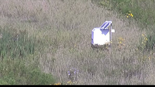 capture-4-23-08-17_09-23-58-17