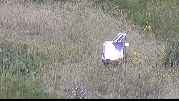 capture-4-23-08-17_09-51-44-69