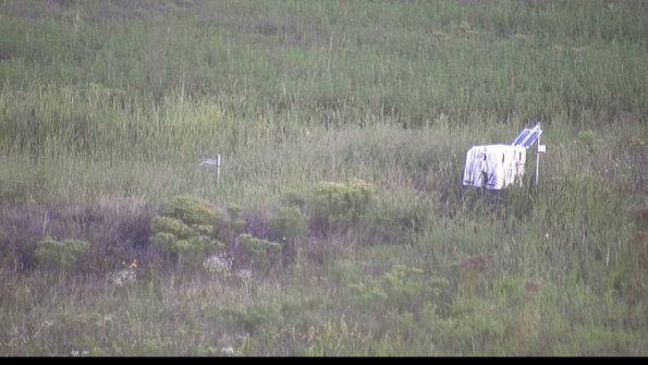 capture-5-23-08-17_07-04-11-04