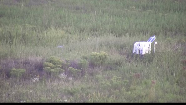 capture-5-23-08-17_07-06-11-10