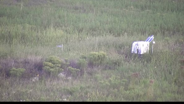 capture-5-23-08-17_07-10-11-47