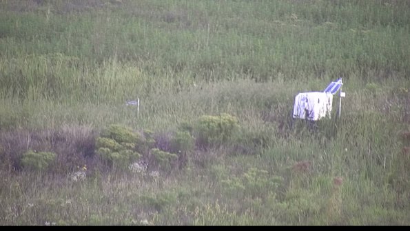 capture-5-23-08-17_07-14-11-75