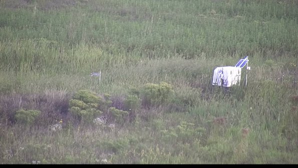 capture-5-23-08-17_07-16-11-31