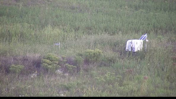 capture-5-23-08-17_07-18-11-40