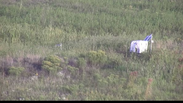 capture-5-23-08-17_07-38-11-39