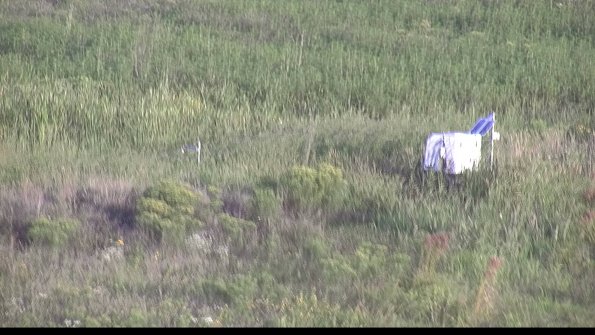 capture-5-23-08-17_07-40-10-51