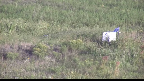 capture-5-23-08-17_07-42-10-43