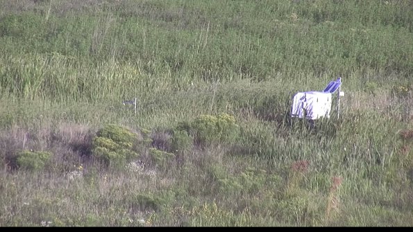 capture-5-23-08-17_08-00-11-01