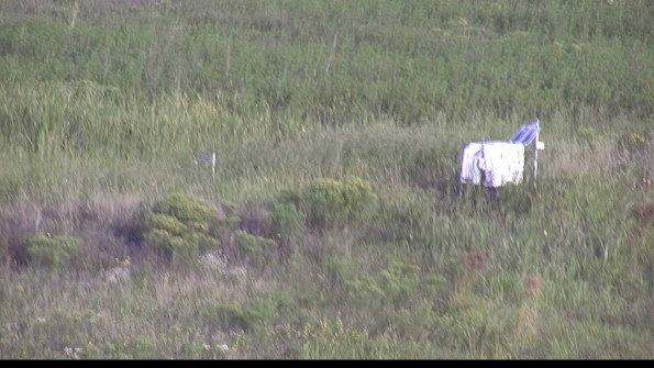 capture-5-23-08-17_08-04-11-79