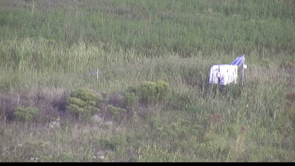 capture-5-23-08-17_08-06-11-17