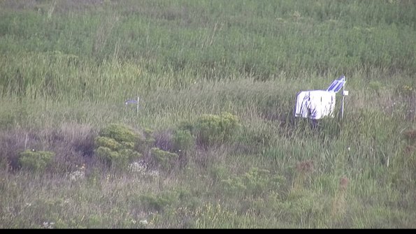 capture-5-23-08-17_08-08-10-63