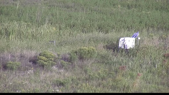 capture-5-23-08-17_08-34-11-71