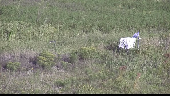 capture-5-23-08-17_08-38-11-28