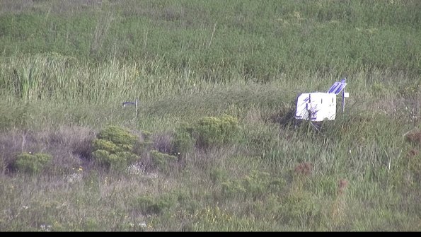 capture-5-23-08-17_08-48-11-19