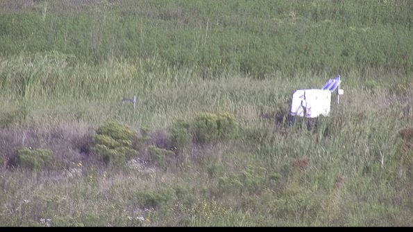 capture-5-23-08-17_08-56-11-94