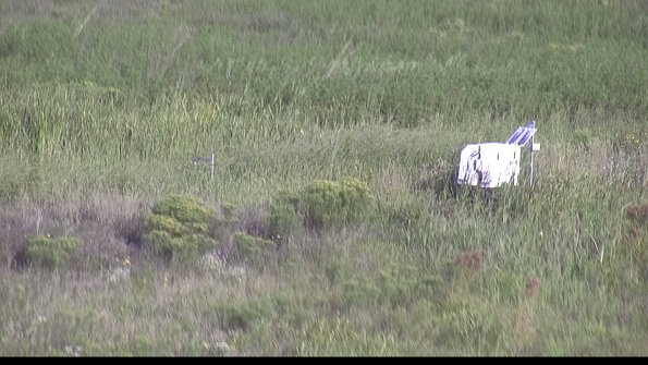 capture-5-23-08-17_08-58-10-59