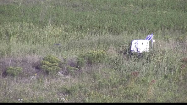 capture-5-23-08-17_09-00-11-98