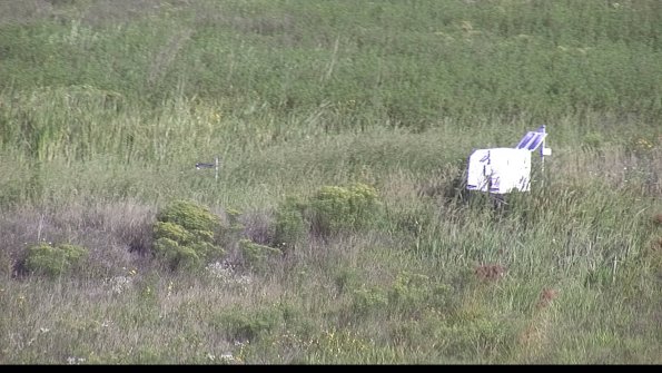 capture-5-23-08-17_09-04-10-69