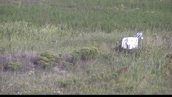 capture-5-23-08-17_09-12-11-83