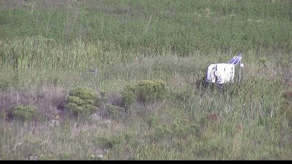 capture-5-23-08-17_09-18-11-45