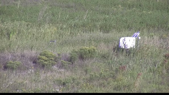 capture-5-23-08-17_09-24-11-25