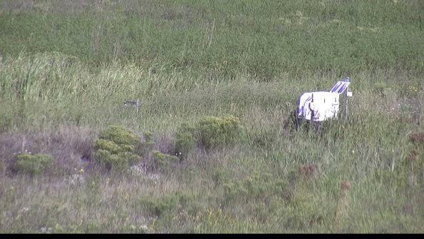 capture-5-23-08-17_09-40-11-82