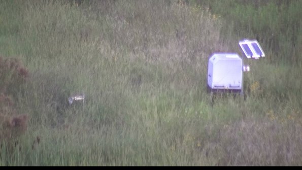 capture-6-23-08-17_07-08-25-77