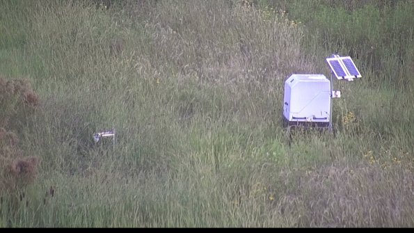 capture-6-23-08-17_07-16-26-12