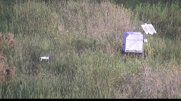 capture-6-23-08-17_07-58-26-11