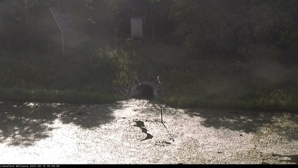 Basin Inflow_23-08-18_09-49-09-05