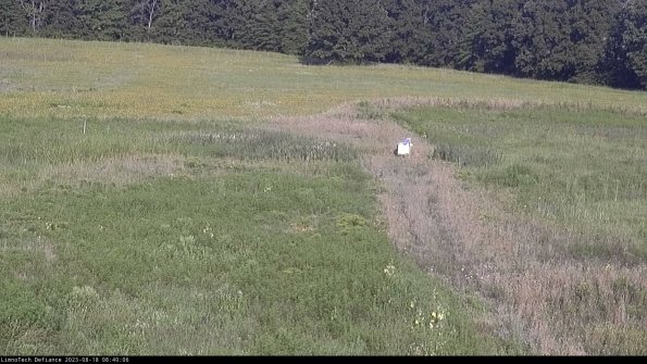 Cell 1 to 2_23-08-18_08-40-06-89