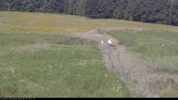 Cell 1 to 2_23-08-18_10-31-58-10