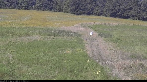 Cell 1 to 2_23-08-18_10-54-03-90