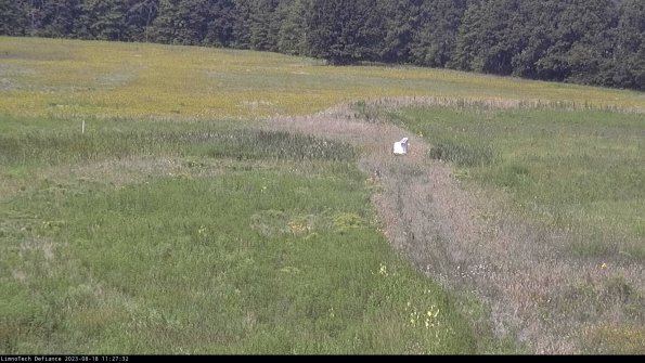 Cell 1 to 2_23-08-18_11-27-32-89