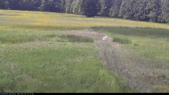 Cell 1 to 2_23-08-18_14-15-02-86