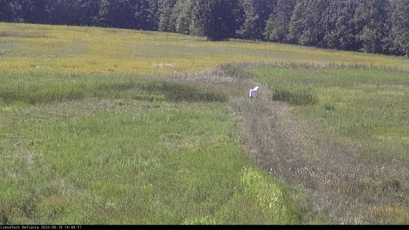 Cell 1 to 2_23-08-18_14-48-31-84