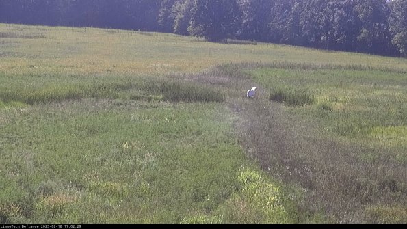 Cell 1 to 2_23-08-18_17-02-29-89