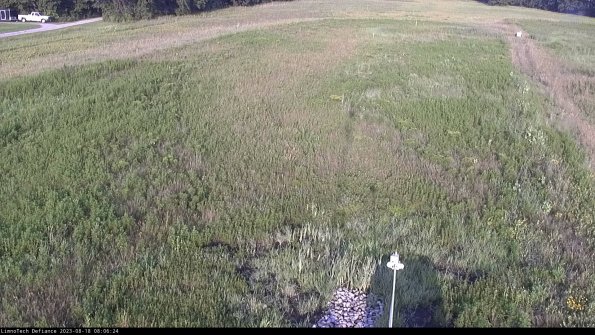 Cell 1_23-08-18_08-06-24-86