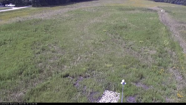 Cell 1_23-08-18_12-00-48-86