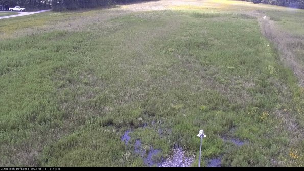 Cell 1_23-08-18_13-41-18-86