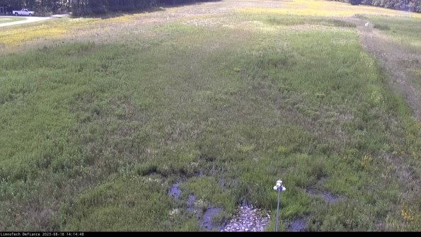 Cell 1_23-08-18_14-14-48-88