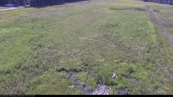 Cell 1_23-08-18_15-21-45-88