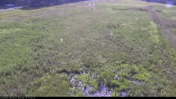 Cell 1_23-08-18_17-02-15-87