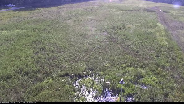 Cell 1_23-08-18_17-35-45-90