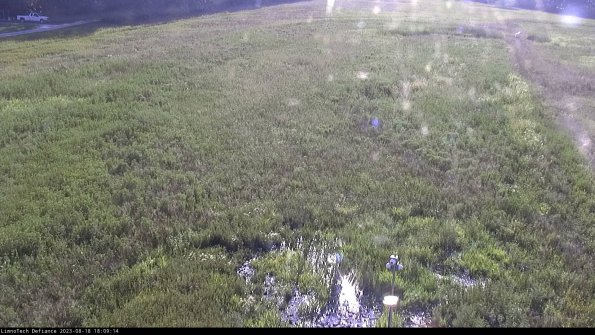 Cell 1_23-08-18_18-09-14-92