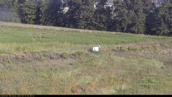 Cell 2 to 3_23-08-18_08-40-32-95