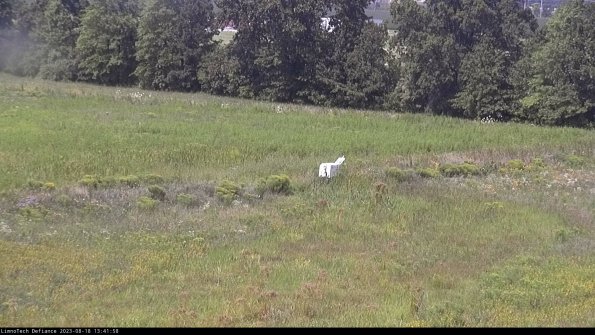 Cell 2 to 3_23-08-18_13-41-59-00