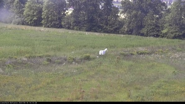 Cell 2 to 3_23-08-18_14-15-28-95