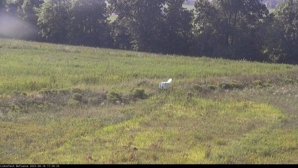 Cell 2 to 3_23-08-18_17-36-26-04