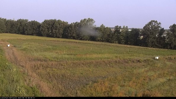 Cell 2_23-08-18_08-06-51-92